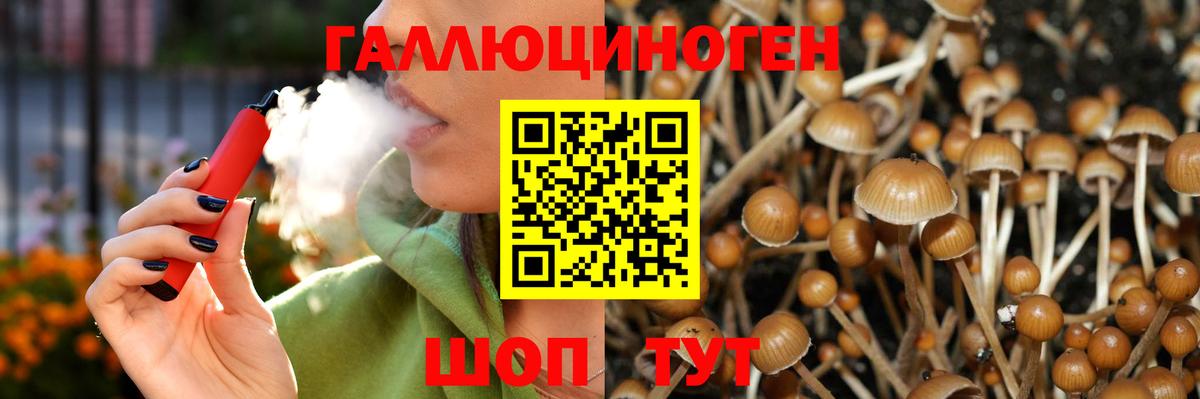 Псилоцибиновые грибы GOLDEN TEACHER  Вход с VPN  Великий Устюг 